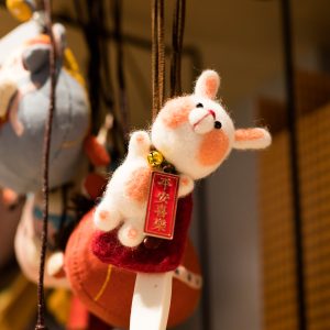 一个小熊